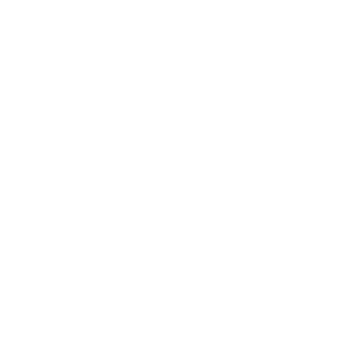safe_shield_icon